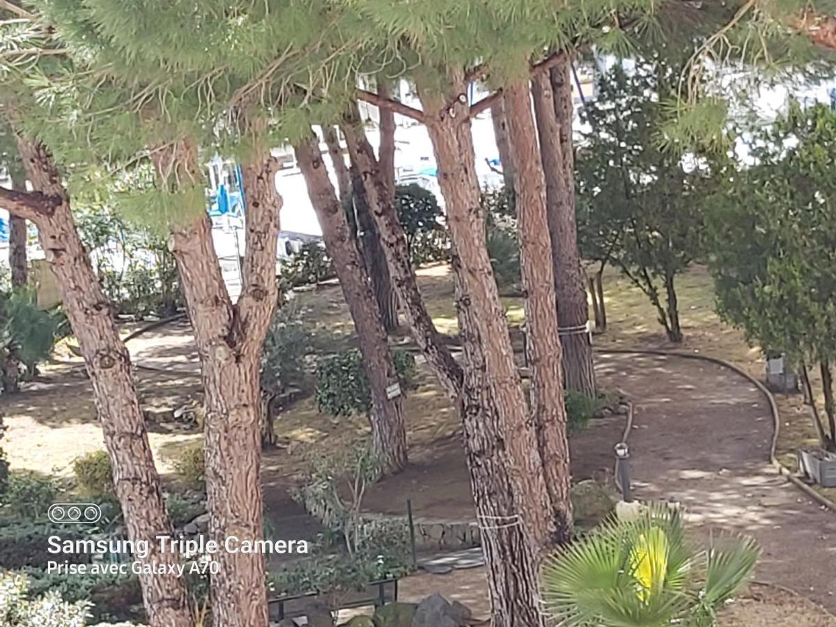 Coquet Studio Centre Port Cap D'آجد المظهر الخارجي الصورة